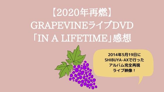 年ストリーミングde再燃 Grapevineライブdvd In A Lifetime 感想 高知に移住したのーてんき女のブログ