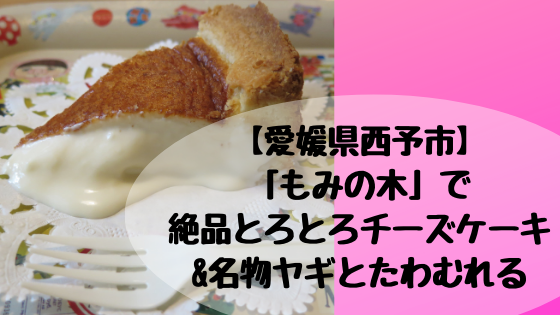 愛媛県西予市 もみの木 で絶品とろとろチーズケーキ 名物ヤギとたわむれる 高知に移住したのーてんき女のブログ