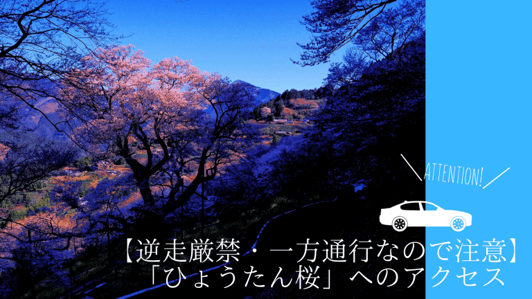 ひょうたん桜 へのアクセス 逆走厳禁 一方通行なので注意 高知に移住したのーてんき女のブログ